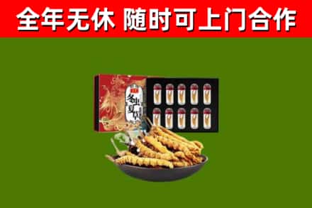 墨竹工卡县回收冬虫夏草价格