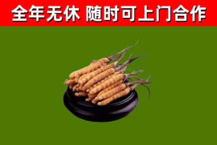 墨竹工卡县烟酒回收冬虫夏草.jpg